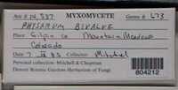 Image Associated With the Occurence